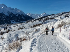 Winterwanderweg in Richtung Davos Munts